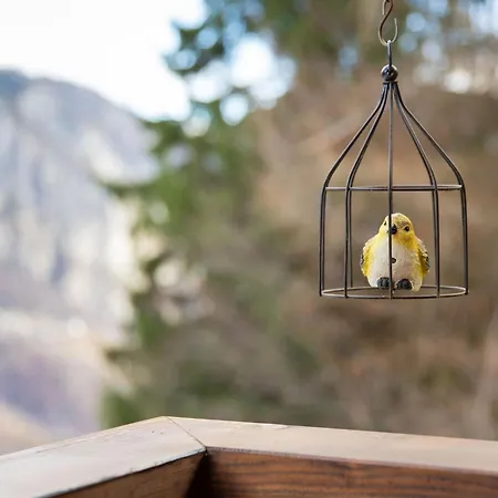 木屋 Meleze 1967 By Interhome *