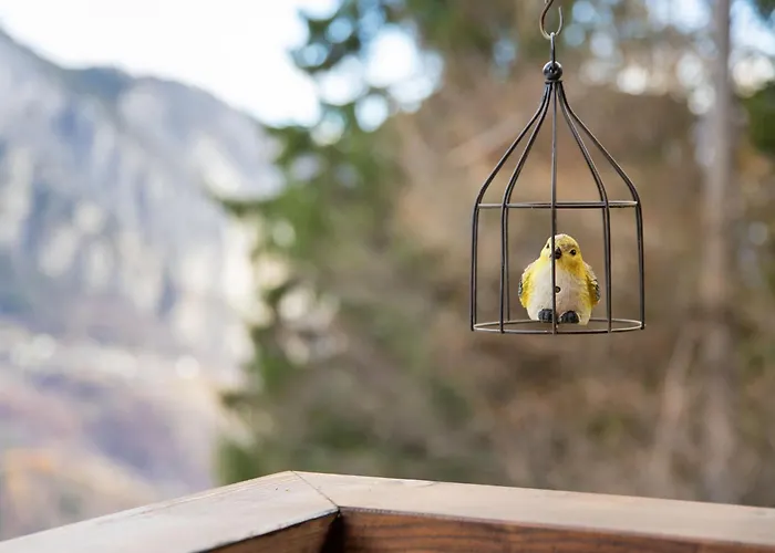 木屋 Meleze 1967 By Interhome *