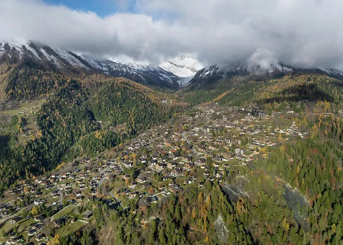 شاليه Meleze 1967 By Interhome